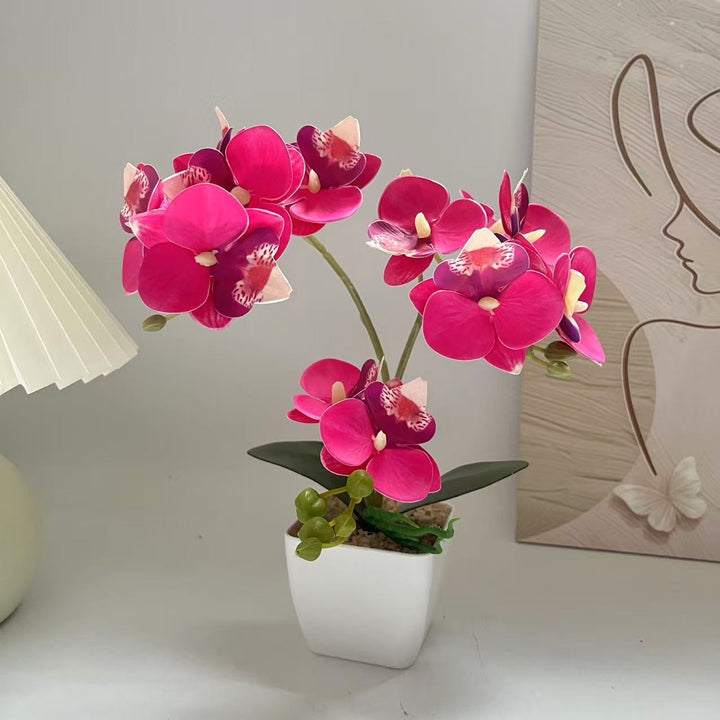 Lebensechte Orchideenpflanzenanordnung für die Heimpräsentation