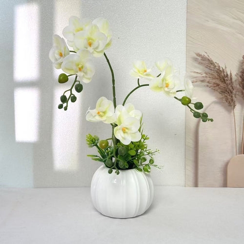 Dekorative Orchideenarrangement
