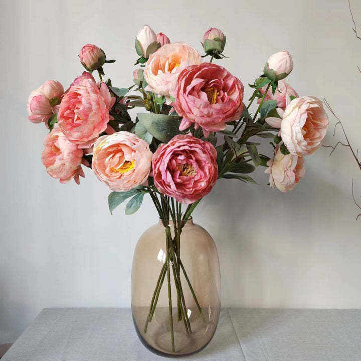 Elegante Pfingstrose Blumenstiel