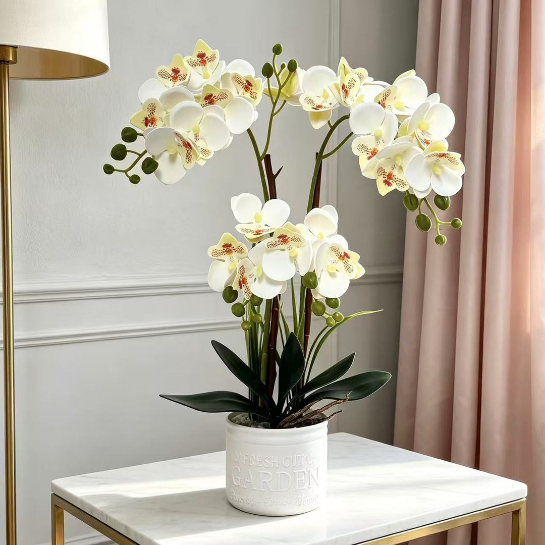 Dekorative Topfpflanzen-Orchideen-Anordnung für Tischdeko