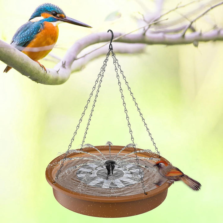 Vogelbad und Futterstelle Karnz