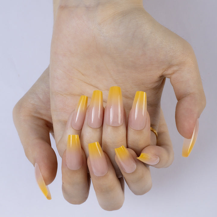 Glamouröse Kunstnägel mit Elegantem Ombre-Design Karnz