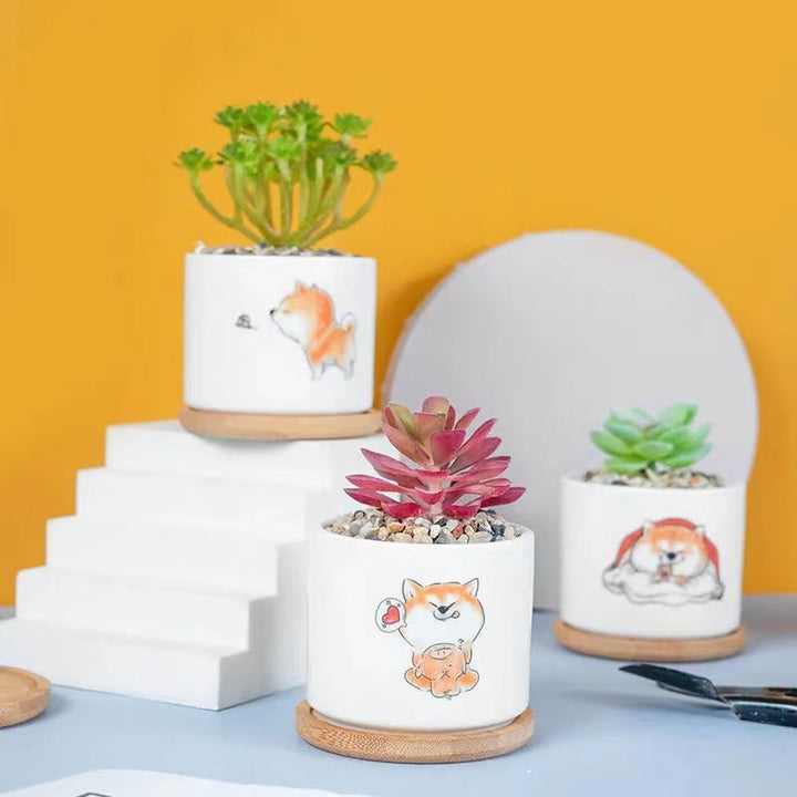 Niedlicher Tier-Themen-Sukkulenten-Planter Karnz