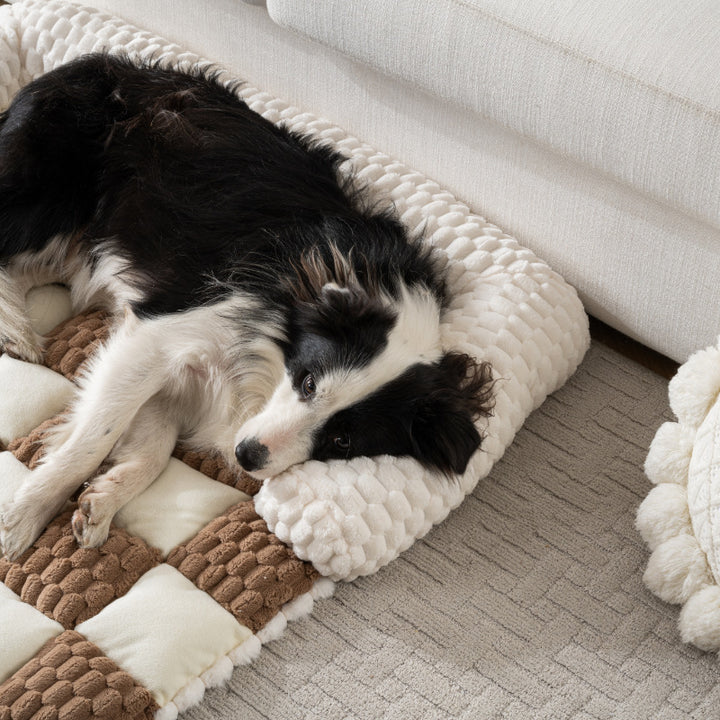 Gemütliches Orthopädisches Kissen Hundebett