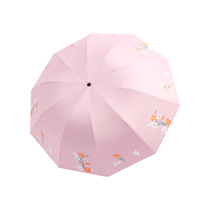 Damen Regenschirm Karnz