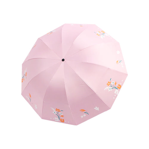 Damen Regenschirm Karnz