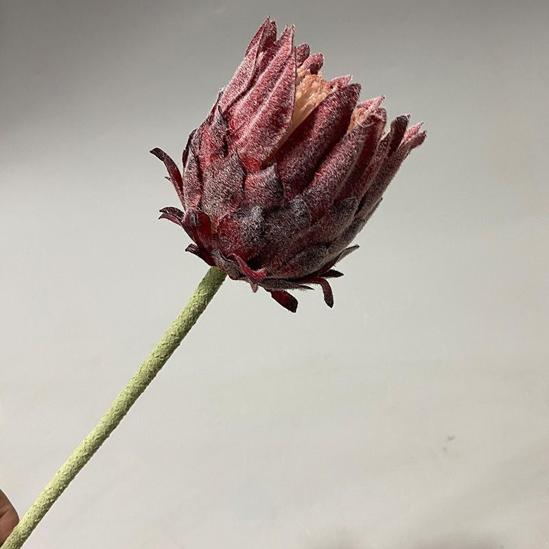 Lebensechter Protea Blumenstängel