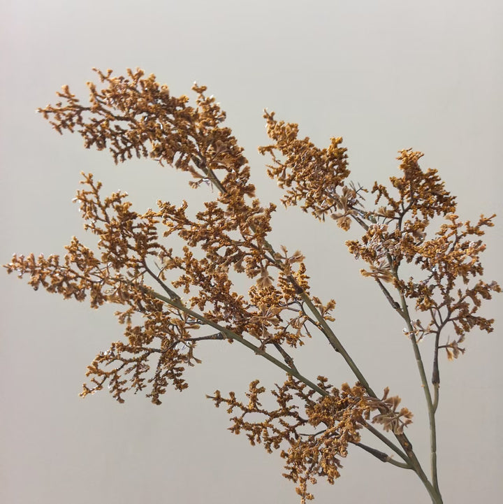 Lebensnahe dekorative botanische Stange