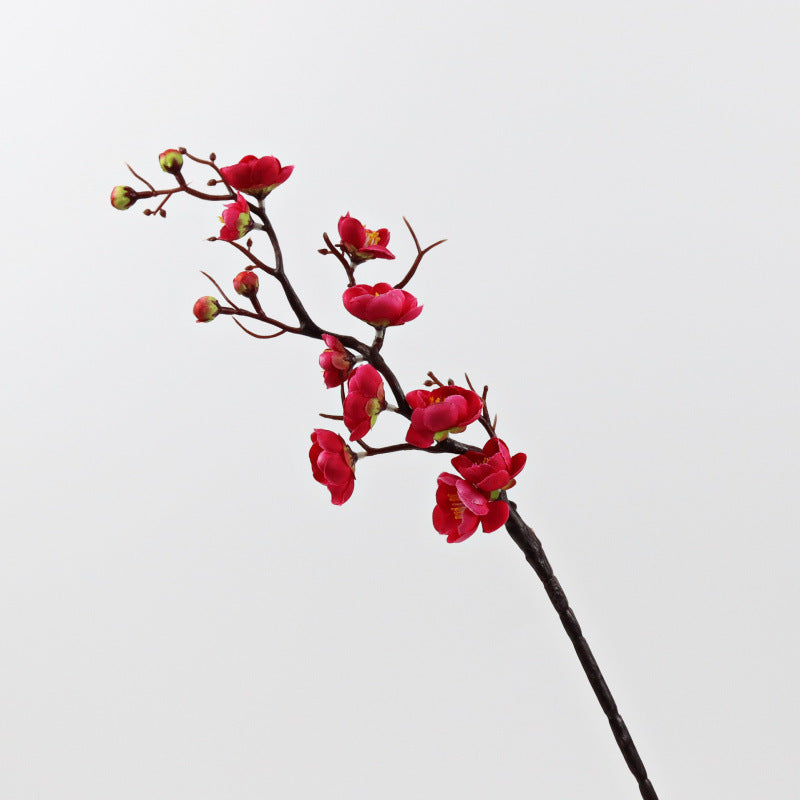 Dekorative Blumenarrangement für die Hausdekoration