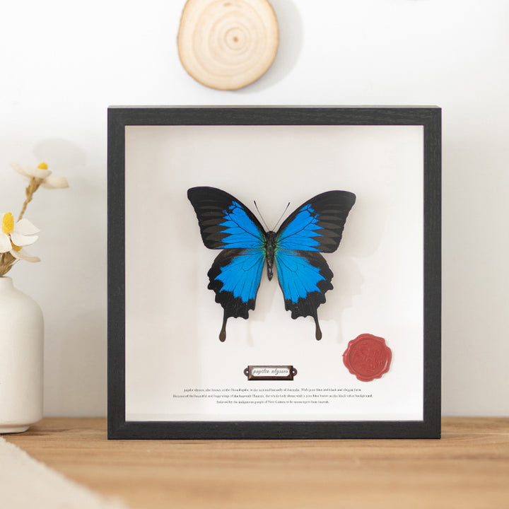 Dekorative Schmetterlings-Wandkunst für Zuhause
