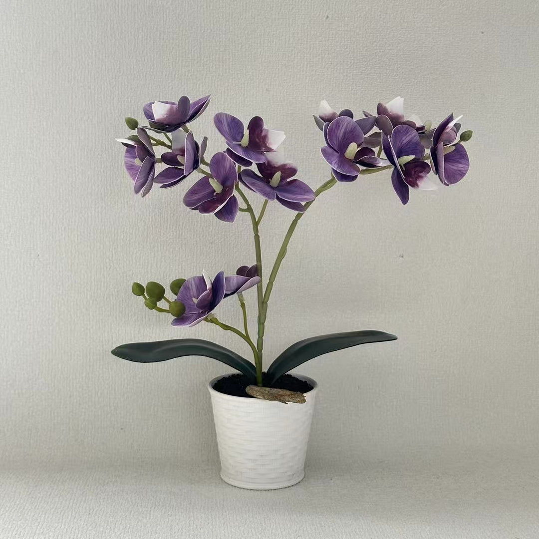 Elegante Kunstorchidee