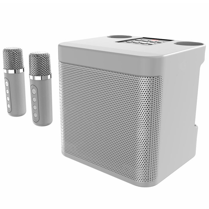 Tragbares Karaoke-Lautsprecher-System Karnz