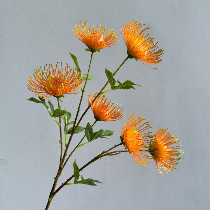 Moderne Blumenarrangement