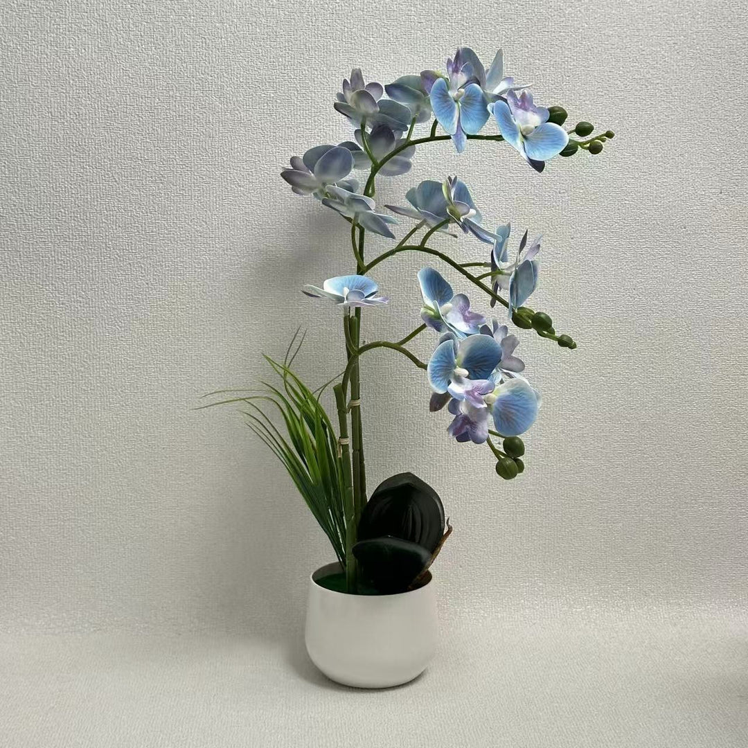 Exquisite Künstlicher Orchideen Ausstellung