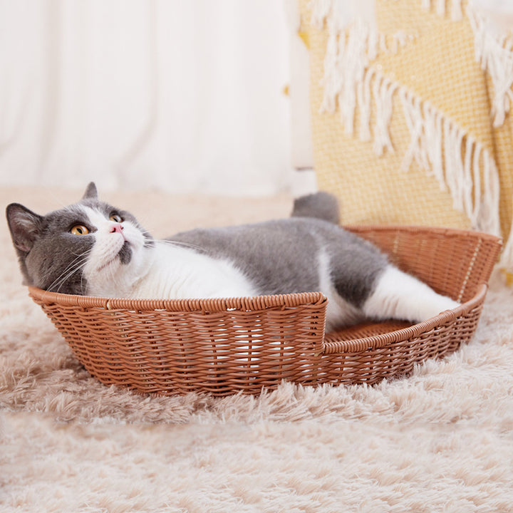 Katzenbett Aus Rattan Karnz