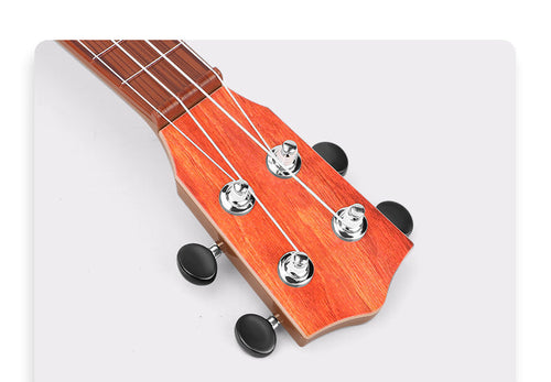 Anfänger Ukulele Karnz