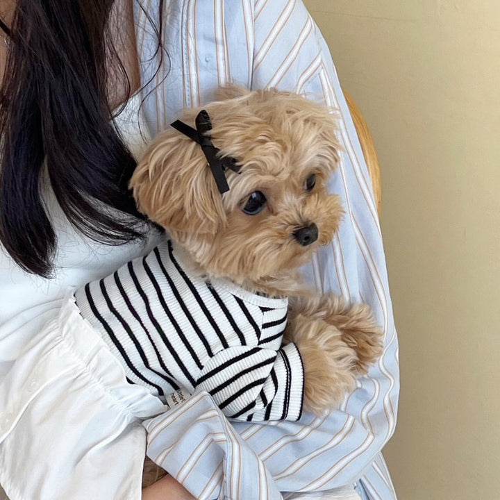 Kleiner Hund Gestreifter Baumwoll-Mischgewebe Strickpullover mit Peter Pan Kragen