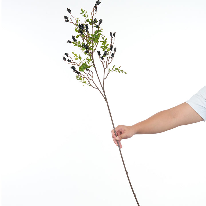 Dekorative Botanische Stiel