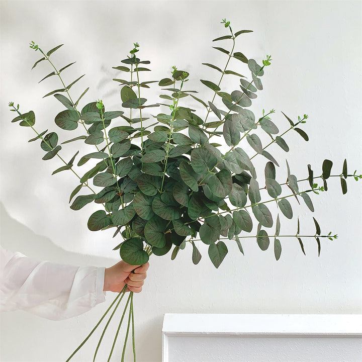 Eukalyptus Dekorative Anordnung