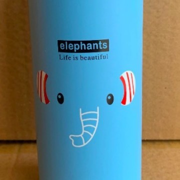 Isolierte Edelstahl-Wasserflasche Karnz
