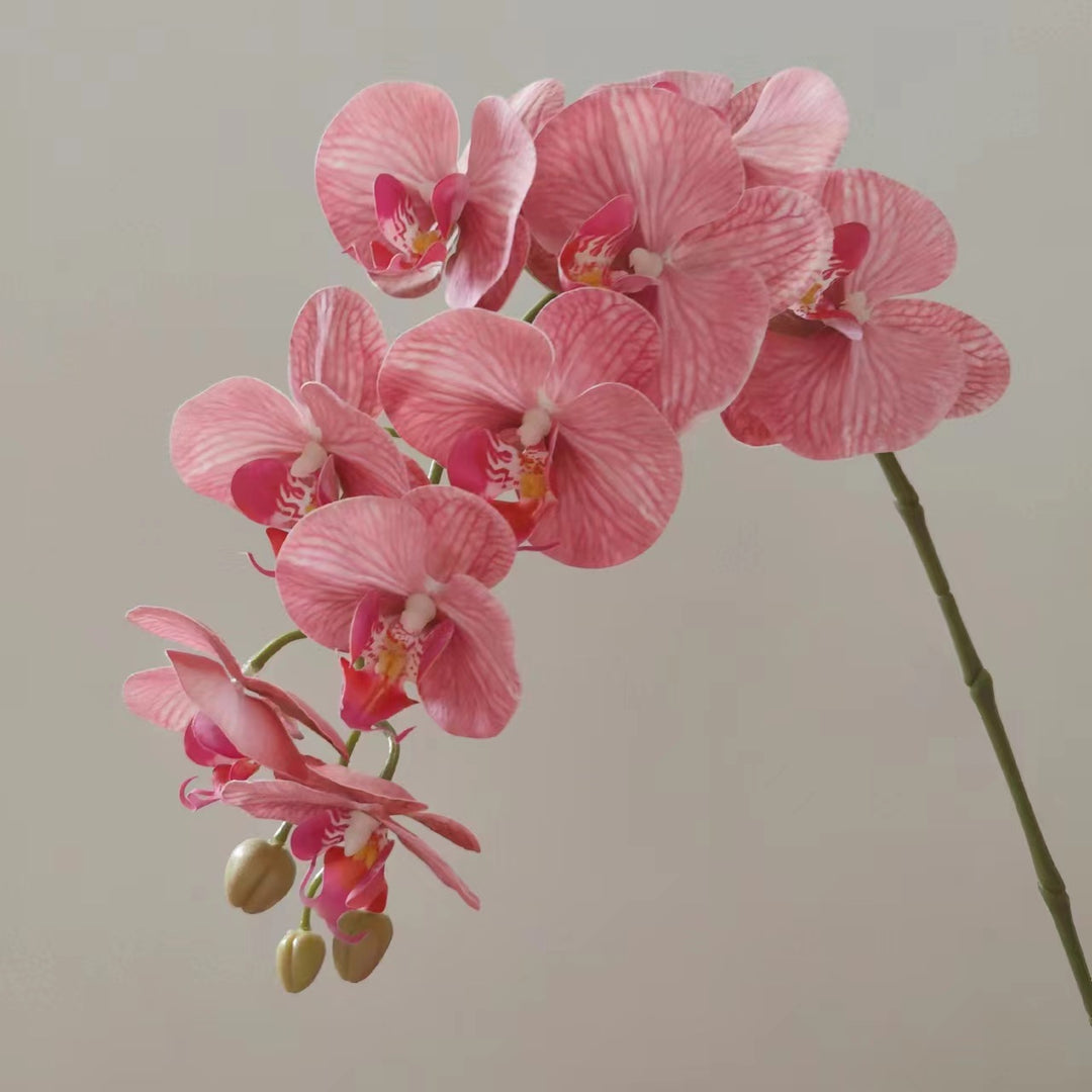 Lebensnahe Orchideenblüten-Ranke