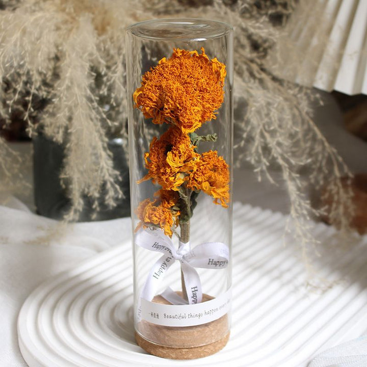 Konserviertes Blumendisplay im eleganten Glaskylinder