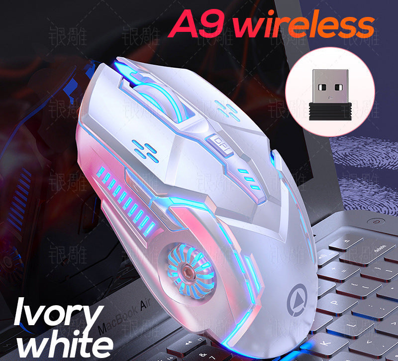 Drahtlose Gaming-Maus mit RGB-Beleuchtung Karnz