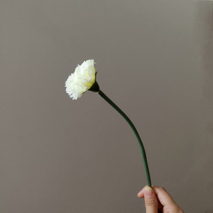 Realistische Nelkenblumenstil
