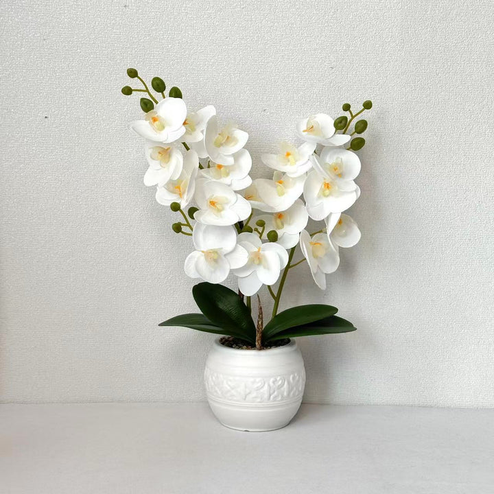 Dekorative Orchidee für Tischdekoration