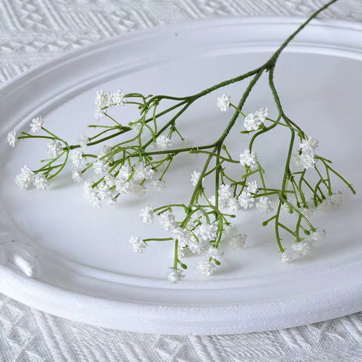 dekorativer getrockneter Blumenstiel