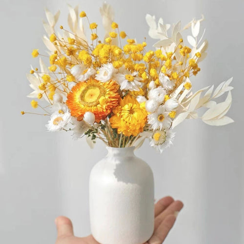 Getrocknete botanische Blumenanordnung