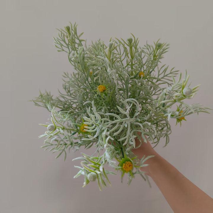 Elegante Dekorative Wildblumenstiel