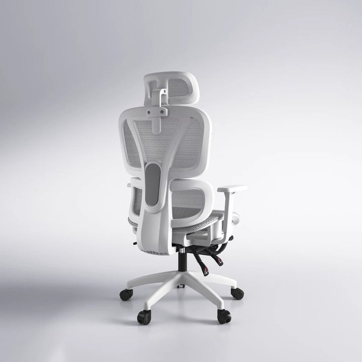 Ergonomischer Bürostuhl Karnz