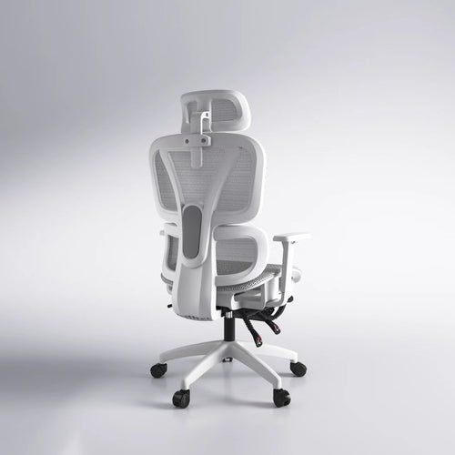 Ergonomischer Bürostuhl Karnz