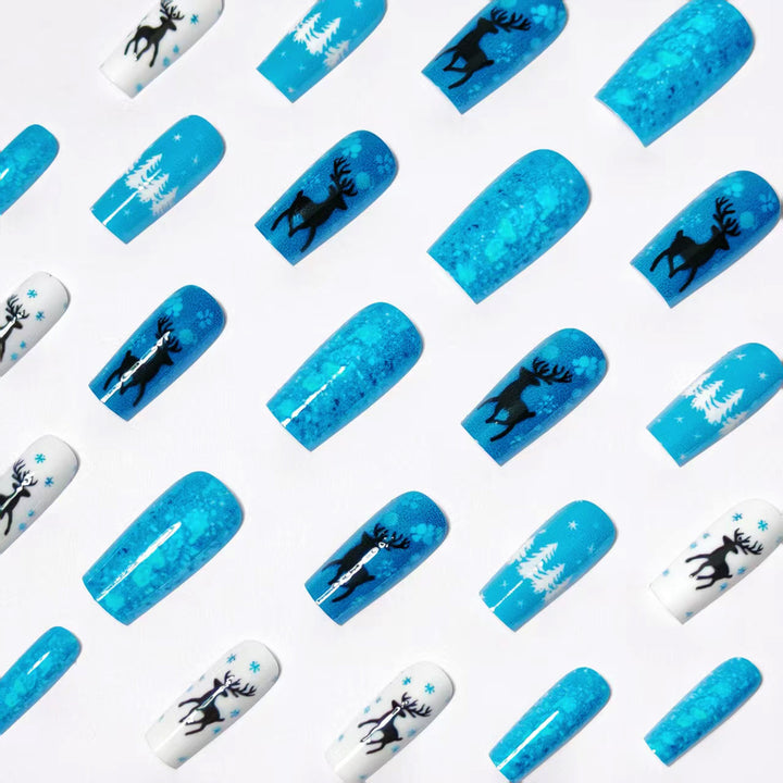 Nagelkunstset Karnz
