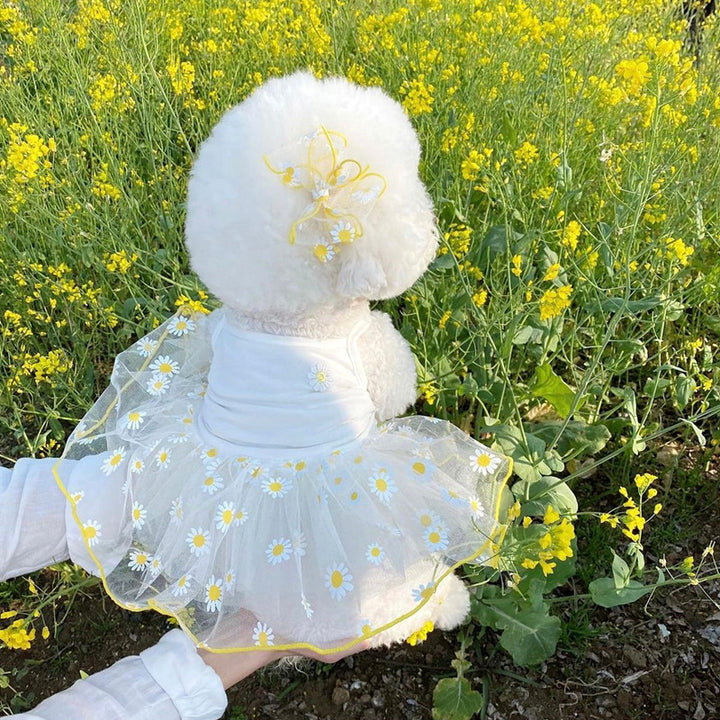 Erdbeer Tüll Tutu Kleid mit bestickter Beere und Organza