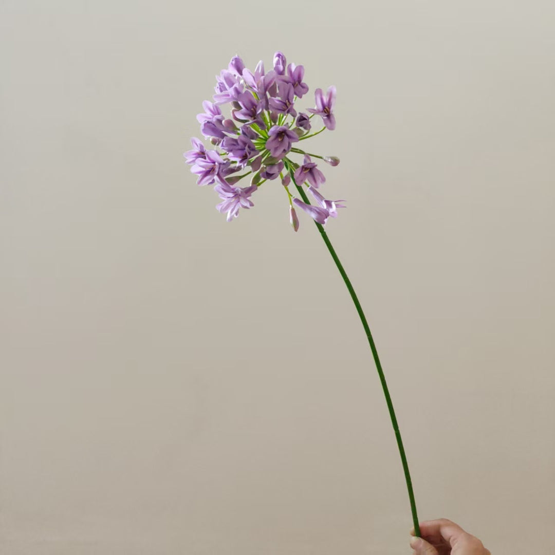 Lebensnahe Botanische Blumenstiel