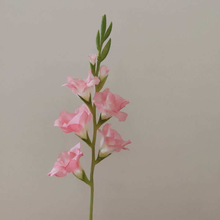 Orchideenblütenstiel