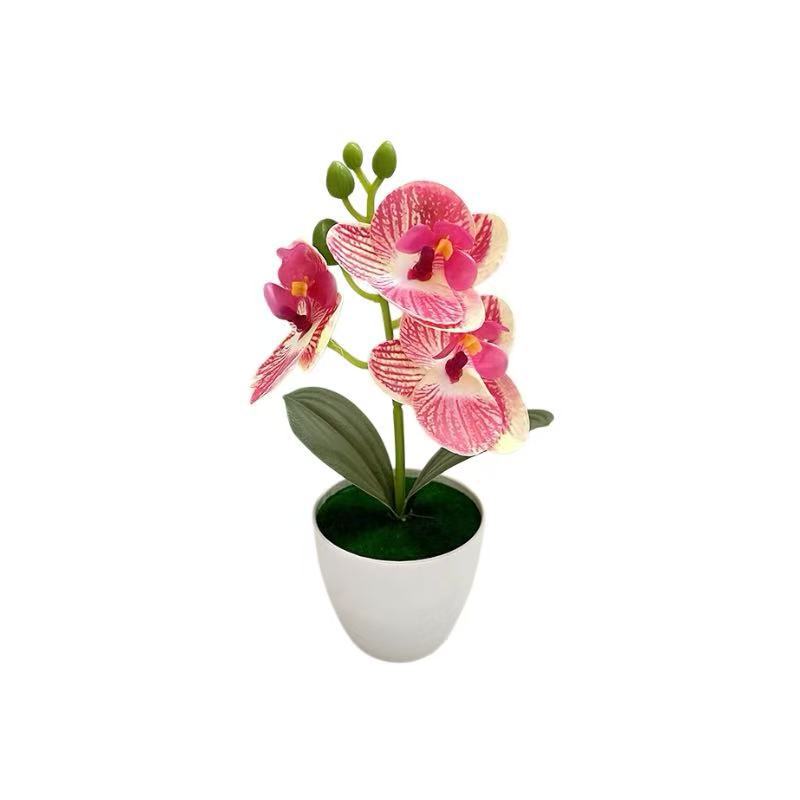 Lebensechte Orchideenblumenarrangement