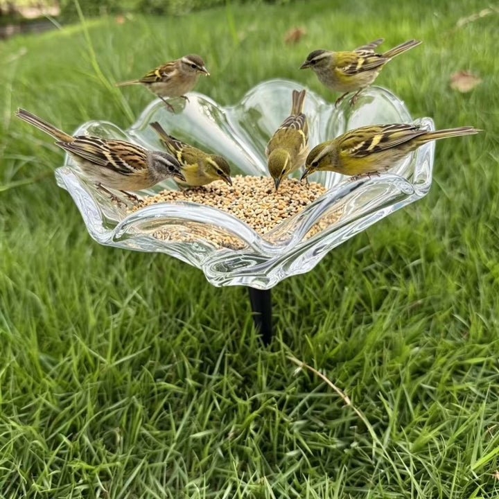 Elegante Vogel-Fütterungsstation Karnz