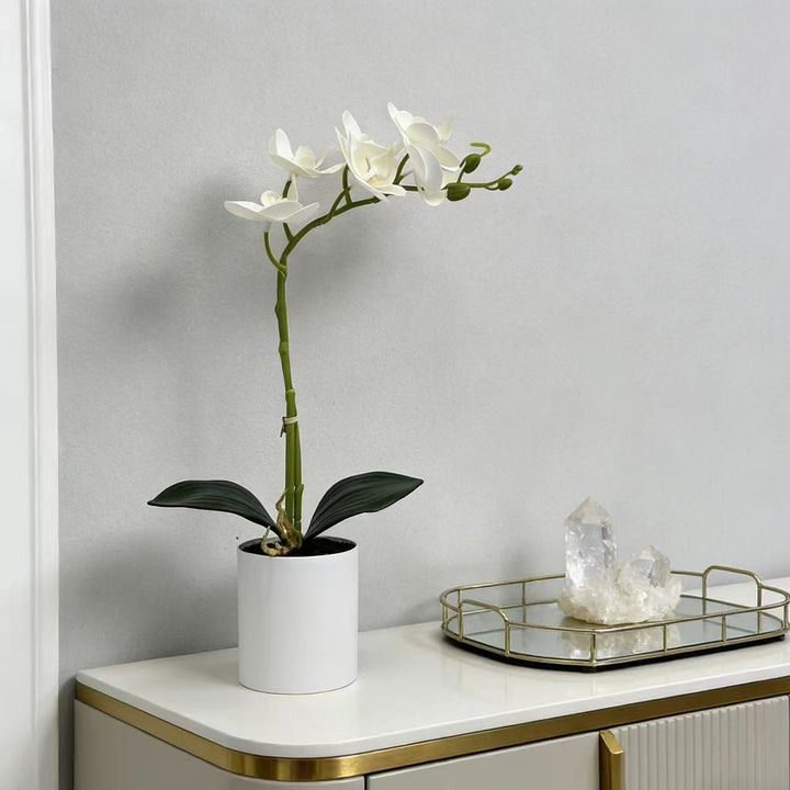 Realistische Künstliche Orchideenstängel