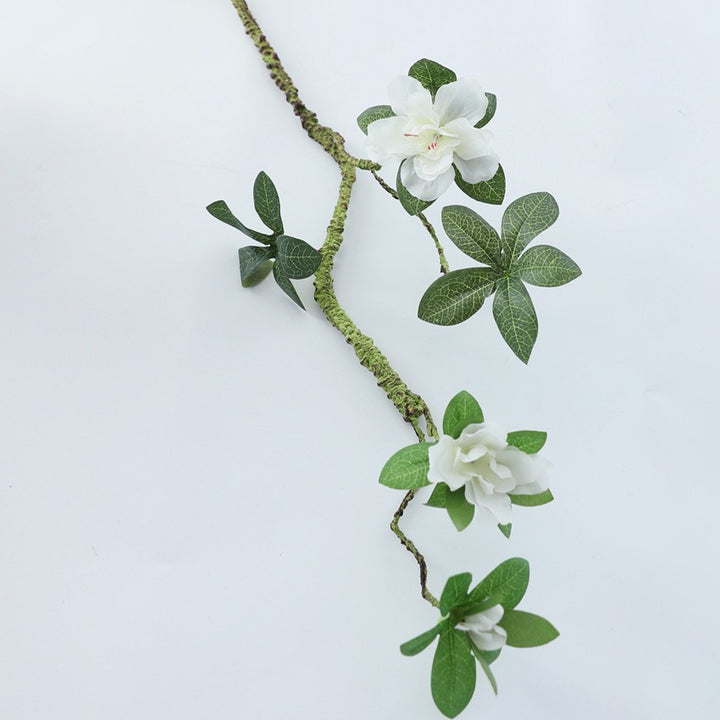 Deko Vase Karnz
