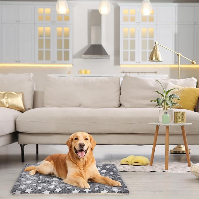 Komfortmatte   Hundebett