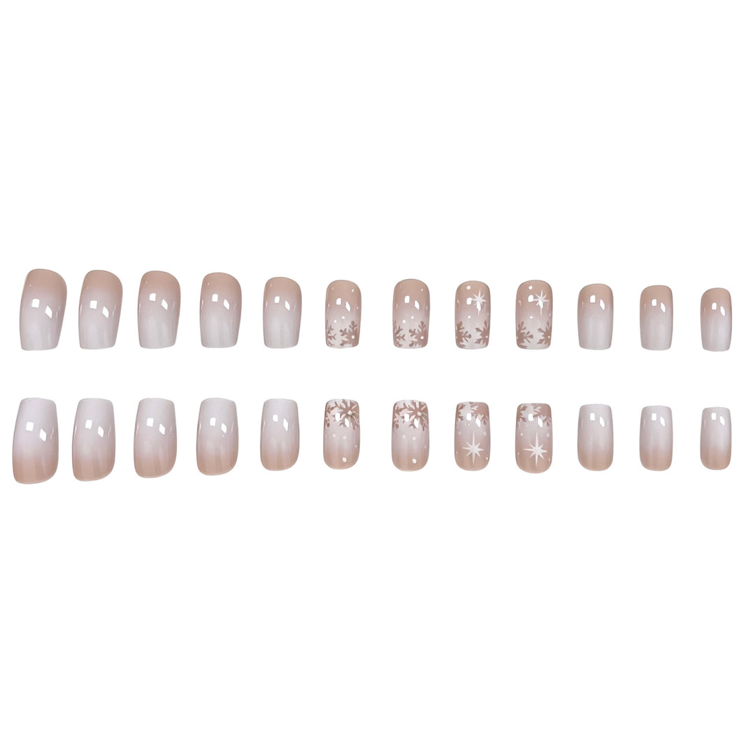 Elegante Frosted Winter Nagelkunst Verbesserungen Karnz