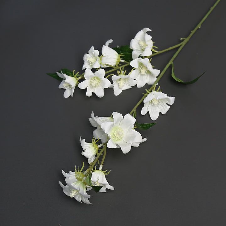 Florale Akzentstängel für die Wohnkultur-Darstellung