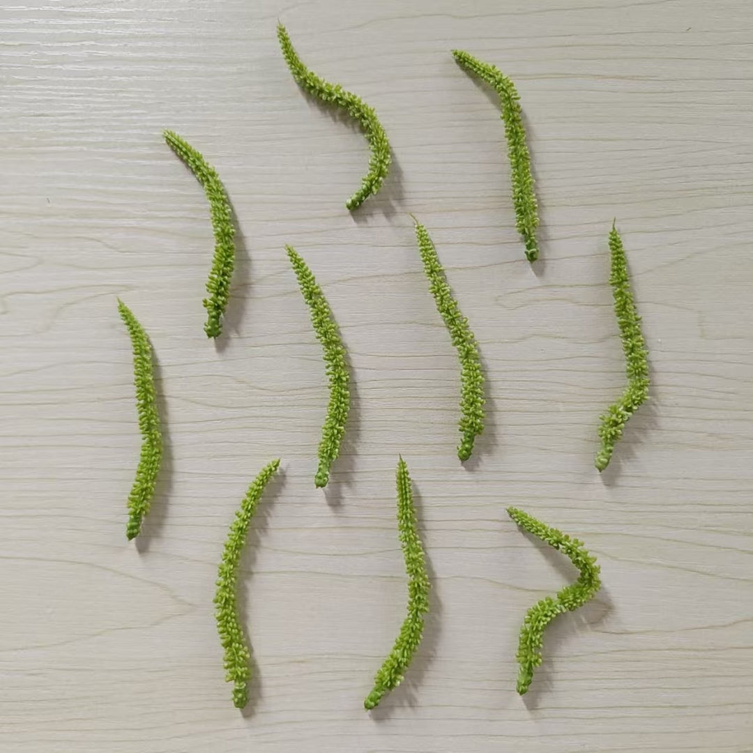 Gartenwerkzeug