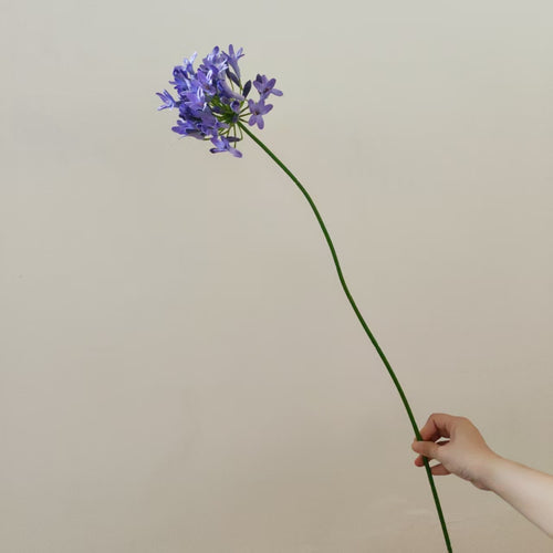 Lebensnahe Botanische Blumenstiel