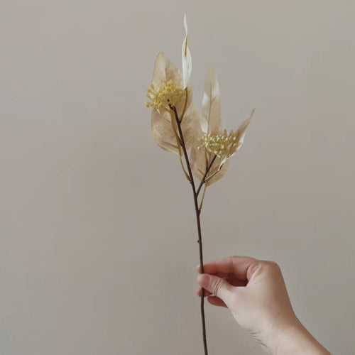 Dekorative Getrocknete Blumenstängel