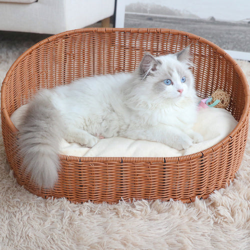 Katzenbett Karnz