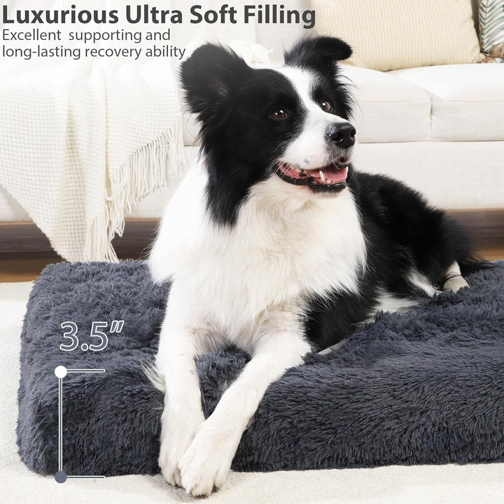 Hundebett Karnz